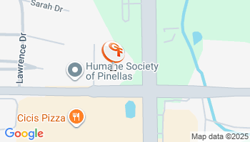 Safety Harbor, FL Rv Insurance Agency